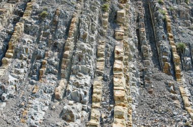 Kil-karbonat katman dikey olarak yalan fosillerini katmanlı.