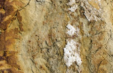 Sarı, ferruginous kumtaşı beyaz kalsit ile konsantrik bölgeli doku.