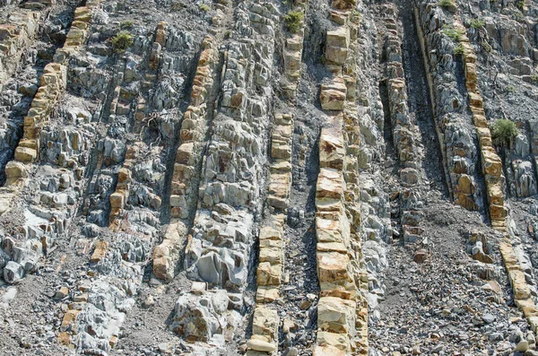 Kil-karbonat katman dikey olarak yalan fosillerini katmanlı.