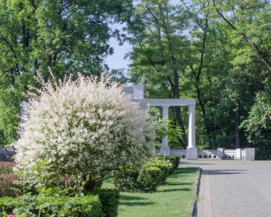 Sabahın erken saatlerinde parkta sessiz sokak