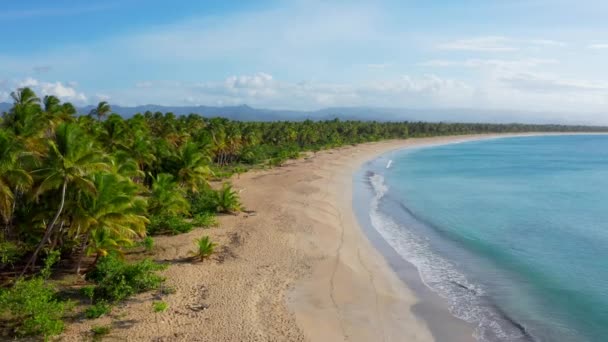 Thailandia Estate Palme Vacanza Mare Mare Turchese Palme Spiaggia Sabbia — Video Stock