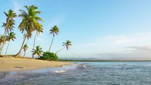 Salida Del Sol Paraíso Tropical Intacto Hawaii Isla Palmera Playa — Vídeo de stock