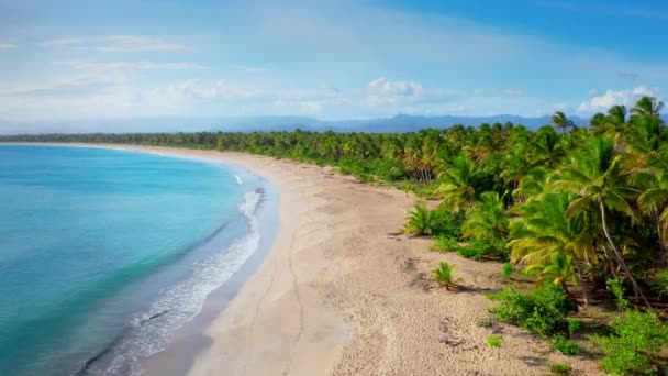 Blå Hav Och Palm Stranden Fantastisk Palm Strand Landskap Karibien — Stockvideo