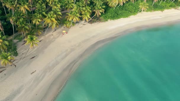 Migliori Spiagge Del Mondo Messico Pulito Palme Spiagge Resort Spiaggia — Video Stock