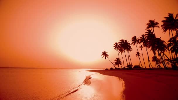 Świt Japońskiej Wyspy Palmowej Czerwone Słońce Wschodzi Horyzoncie Piękne Fale — Wideo stockowe