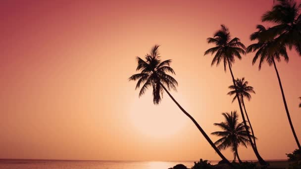 Bella Vacanza Asiatica Mare Palme Splendida Spiaggia Dell Isola Sfondo — Video Stock