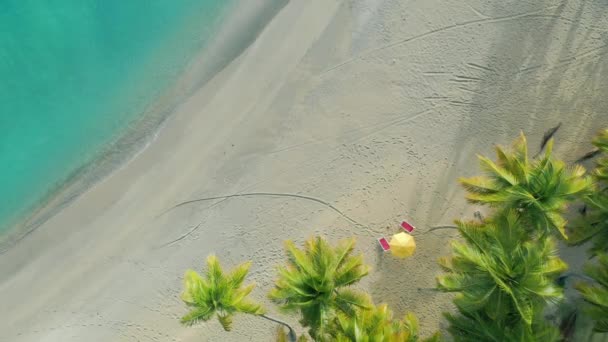 Открытка Голубой Лагуной Пальмы Пляжи Белым Песком Солнцезащитные Кресла Пляжные — стоковое видео