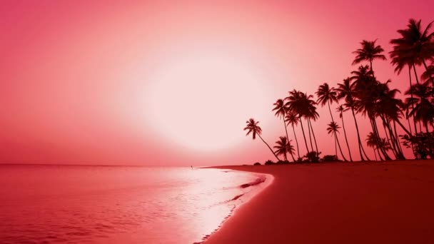 Япония Пальмовый Остров Рассвет Красное Солнце Встает Горизонте Красивые Волны — стоковое видео