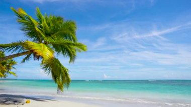 Hint okyanusu ve cennet güneşli plaj manzarası. Vahşi Malezya sahilinde tatil. Açık turkuaz deniz ve sahil arkaplanı.