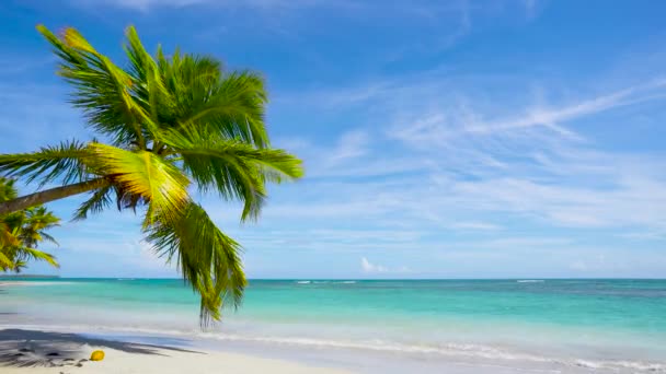 印度洋和天堂阳光灿烂的海滩风景 在马来西亚野生海滩度假 清澈的绿松石海和海滩背景 — 图库视频影像