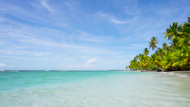 世界で最も美しいビーチ 夏の晴れた日にキューバのビーチの背景 きれいな白い砂浜と澄んだ青い海の水の風景 ビーチのヤシの木 人のいない空間をコピーする — ストック動画