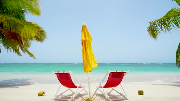 在美丽的墨西哥海滩上的夏季旅游概念 沙滩上的饰物和两棵海景棕榈树 循环视频 没有人 复制空间 — 图库视频影像