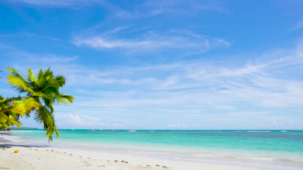 Sfondo Spiaggia Sabbia Bianca Intatto Limpido Mare Tropicale Onda Mare — Video Stock