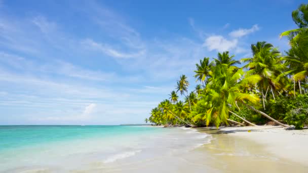 Stille Oceaan Mexico Wilde Strand Landschap Loop Video Niemand Kopieer — Stockvideo