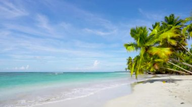 Tayvan plajı geçmişi. Mavi Hint Okyanusu 'ndaki el değmemiş Palm Beach Adası.
