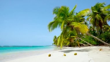 Yaz turistleri Meksika 'nın güneşli plajlarında tatil yapıyorlar. Bakire, cennet, Palm Island plajı ve denizi. 4K videosunu döndür, kimse yok, uzayı kopyala.