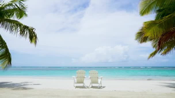 海滩上的热带日光浴 椰子水果和日光浴床之间的棕榈美丽的蓝色海景 — 图库视频影像