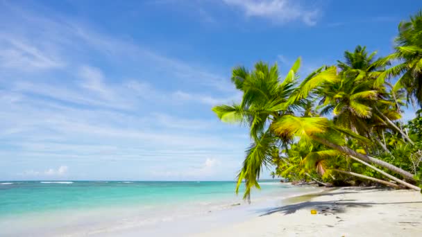 Sfondo Mare Vacanza Mare Messico Paesaggio Balneare Paradiso Tropicale — Video Stock