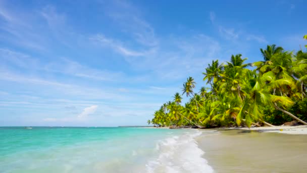 Messico Paradiso Mare Spiaggia Paesaggio Bellissimo Sfondo Solare Mare Loop — Video Stock