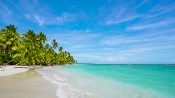 Travel Cuba Beach Palm Beach Clear Wave Turquoise Sea Landscape — Stock Video