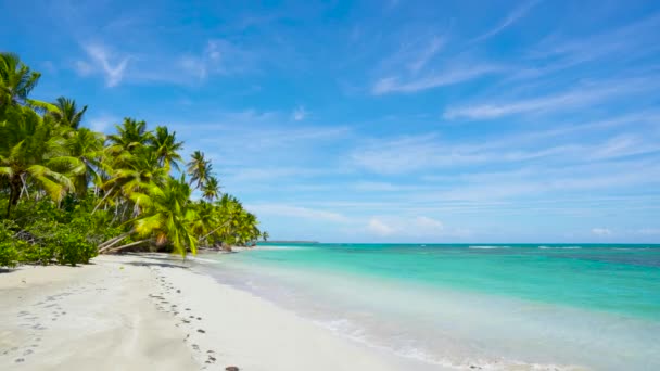 Vakantie Het Wilde Cuba Strand Palmen Strand Zee Lucht Landschap — Stockvideo