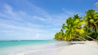 Dünyanın en iyi plajları. Güzel güneş gününde, Palms plajı ve deniz. Filipinler, Hint okyanus manzarası. Açık bir kumsaldaki Palm Ormanı.
