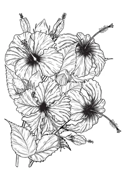 Hibiscus Bloem Vector Met Hand Tekenen Bloem Gezet Witte Achtergrond — Stockvector