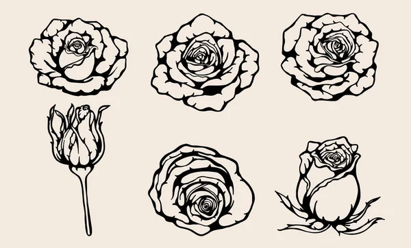 美丽的花朵在白色的背景上 玫瑰艺术在线条艺术风格上非常精细 — 图库矢量图片