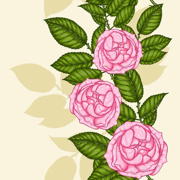 Rose Patrón Dibujo Mano Rosa Rosa Alto Detalle Para Wallpaper — Archivo Imágenes Vectoriales