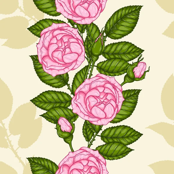 Rose Pattern Hand Drawing Pink Rose High Detail Wallpaper Flower — Stock Vector