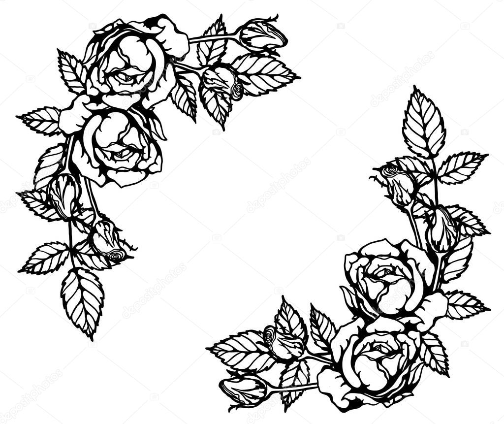 Rose vector set by hand drawing.Beautiful flower on white background.Rose art highly detailed in line art style