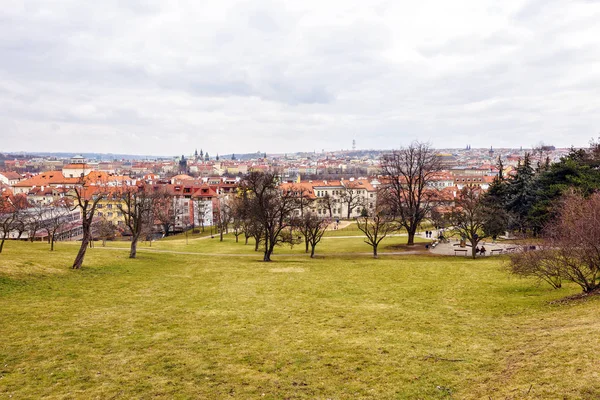 Local park in hill full of trees without leaves. Old town on background. Cloudy day. Negative copy space, place for text. Prague, Czech Republic