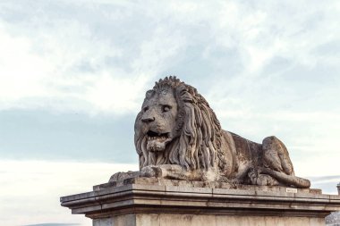 Ünlü zincir köprü aslan taştan yapılmış. Negatif kopya alanı, metin için yer. Budapeşte, Macaristan