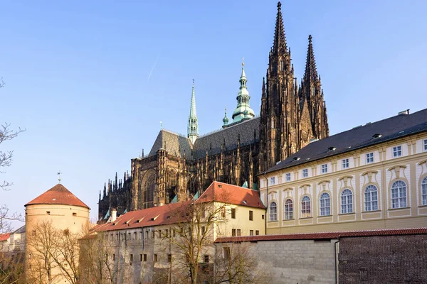 Gotische Architektonische Kathedrale Vitus Von Der Seite Einem Sonnigen Tag — Stockfoto