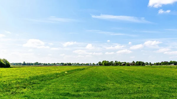 Pintoresco Paisaje Campo Hierba Verde Cielo Azul Brillante Con Nubes — Foto de Stock