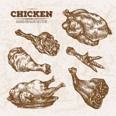 Elle çizilmiş kroki tavuk et ürünleri ayarla, çiftlik taze gıda, siyah ve beyaz vintage illüstrasyon