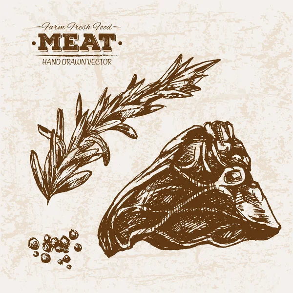Carne Bife Desenhada Mão Com Alecrim Fazenda Alimentos Frescos Ilustração — Vetor de Stock