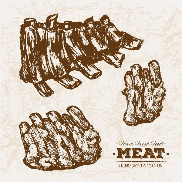 Dibujo Dibujado Mano Carne Costillas Parrilla Productos Conjunto Granja Alimentos — Vector de stock