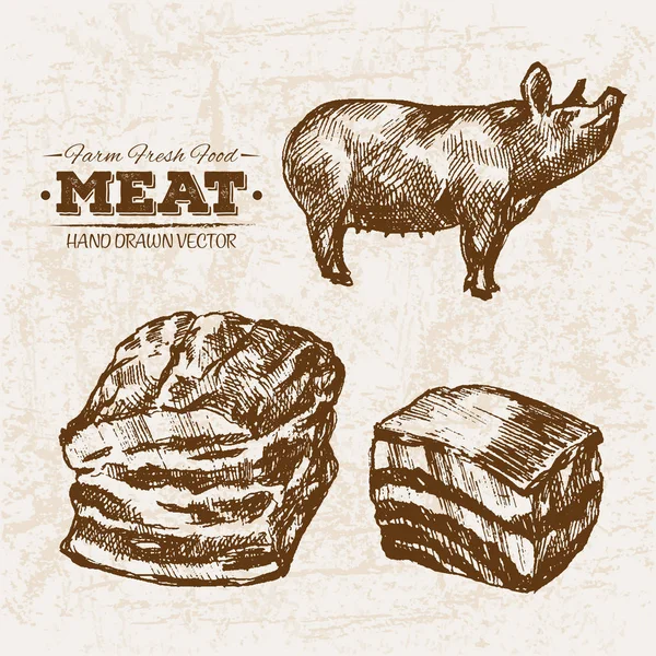 手描きのスケッチ豚肉とハム肉製品セット ファーム新鮮な食品 黒と白のビンテージ イラスト — ストックベクタ