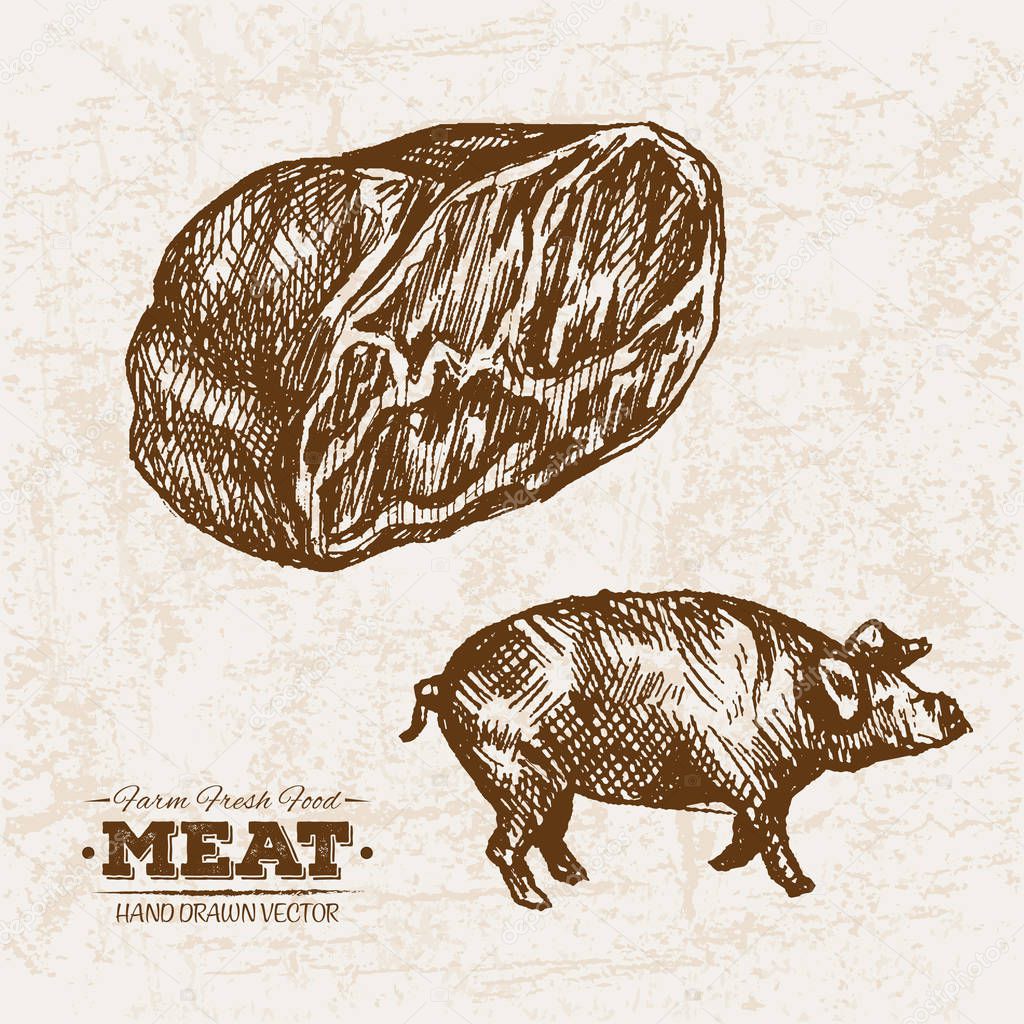 Hand drawn sketch pork and ham meat products set, farm fresh food, black and white vintage illustration