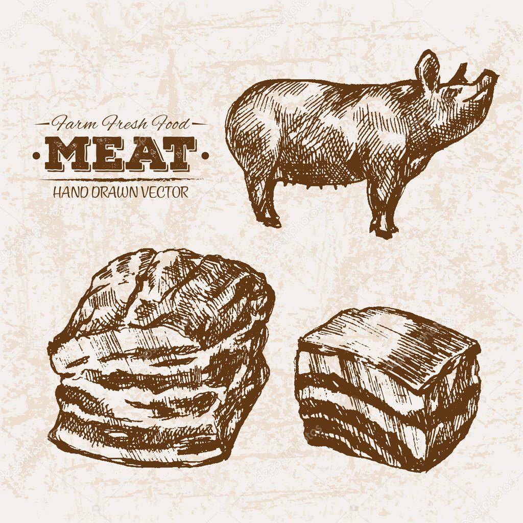 Hand drawn sketch pork and ham meat products set, farm fresh food, black and white vintage illustration