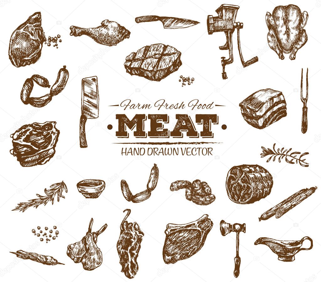 Collection of hand drawn meat sketch, black and white vintage illustration