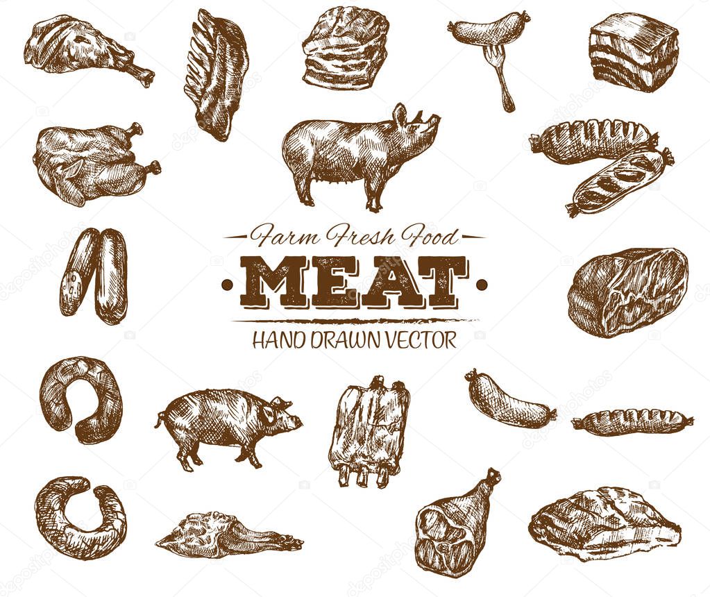 Collection of hand drawn meat sketch, black and white vintage illustration