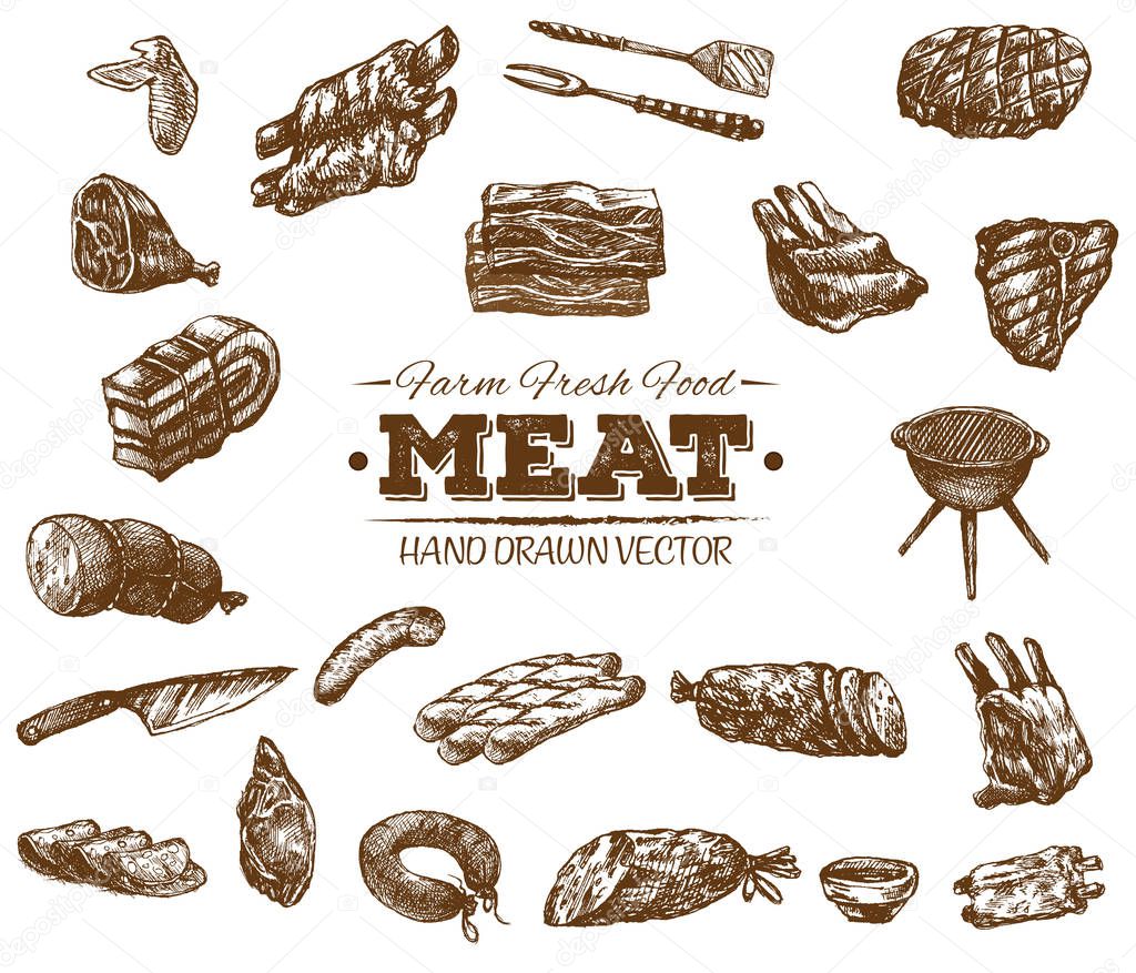 Collection of hand drawn meat sketch, black and white vintage illustration