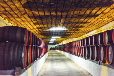 Depolama şarap mahzenleri içinde varil. Parlak ışıklar tavanda. Arka plan bulanık. Negatif kopya alanı, metin için yer. Cricova, Moldova