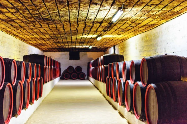 Barrels Storage Wine Cellars Bright Lights Ceiling Blurred Background Negative — Stock Photo, Image