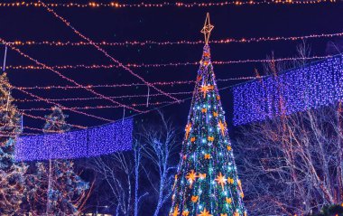 Noel ağaçları süsler gece şehir merkezinde dolu. Kişinev, Moldova