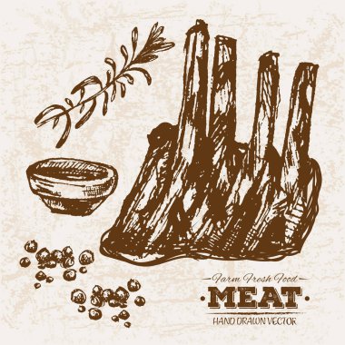 Çizilmiş kroki biftek et ürünleri ayarla kaburga ve ketçap, çiftlik taze gıda, siyah ve beyaz vintage illüstrasyon, el basit çizim