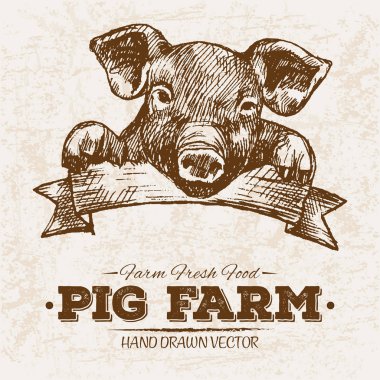 Çizilmiş kroki biftek et ürünleri ayarla sosis ve salam, domuz çiftliği gıda, siyah ve beyaz vintage illüstrasyon, el basit çizim