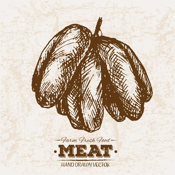 Ręcznie Rysowane Szkic Stek Produktów Mięsnych Kiełbasy Salami Gospodarstwa Świeże — Wektor stockowy